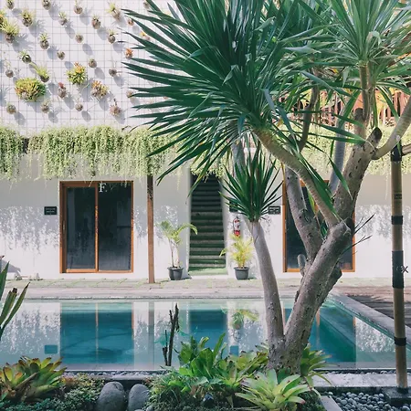 The Farm Canggu Party Hostel-2